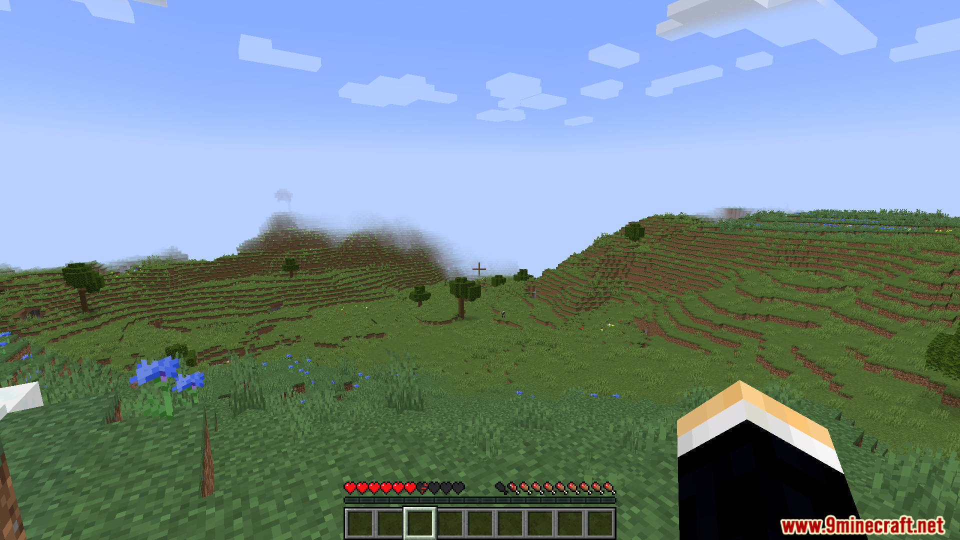 First person view of a grassy hill with health bar
