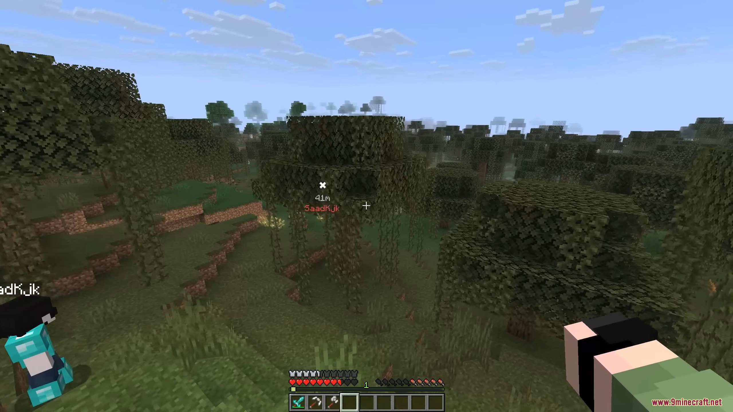 Forest Biome With Trees And Grass