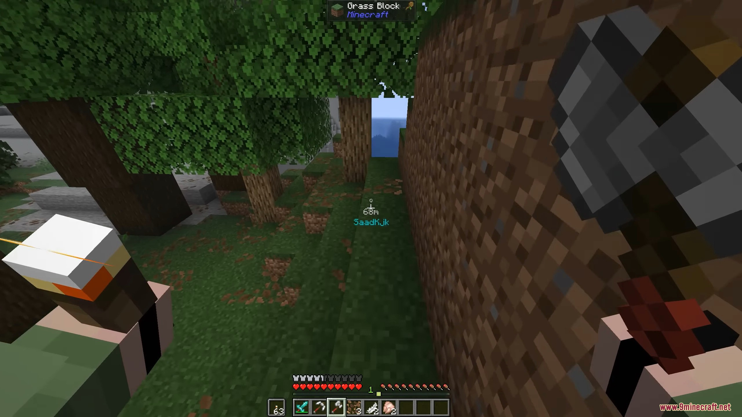 Forest Grove With Grass Block