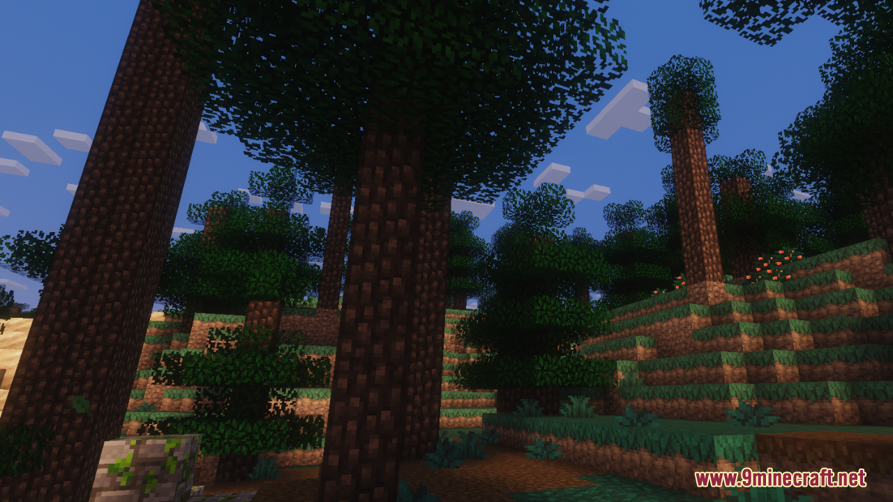 Tall dark wood trees in a forest with faded textures