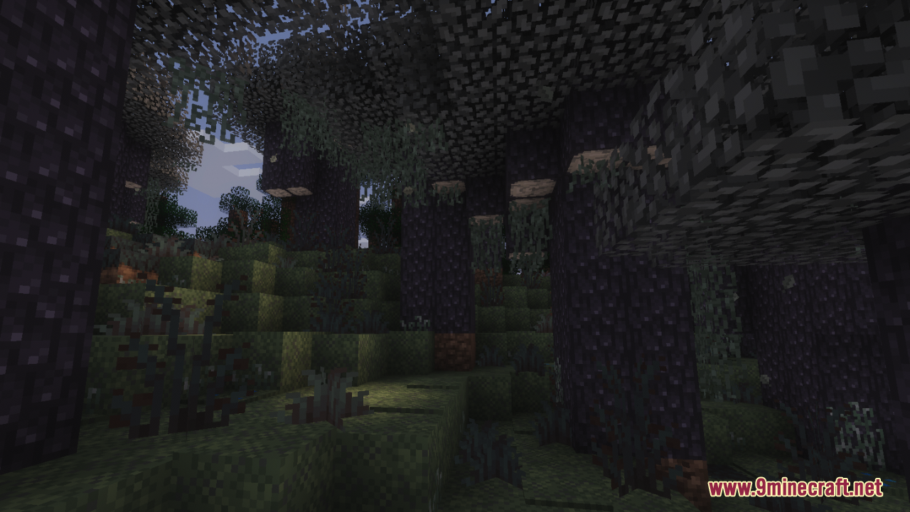 Dark forest biome with thick tree trunks and hanging vines