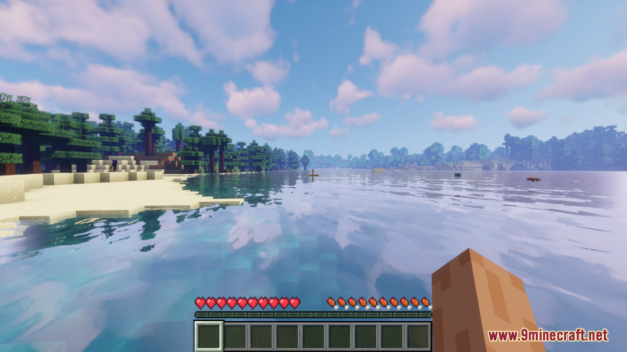 Player standing on beach showing custom hearts and hunger icons