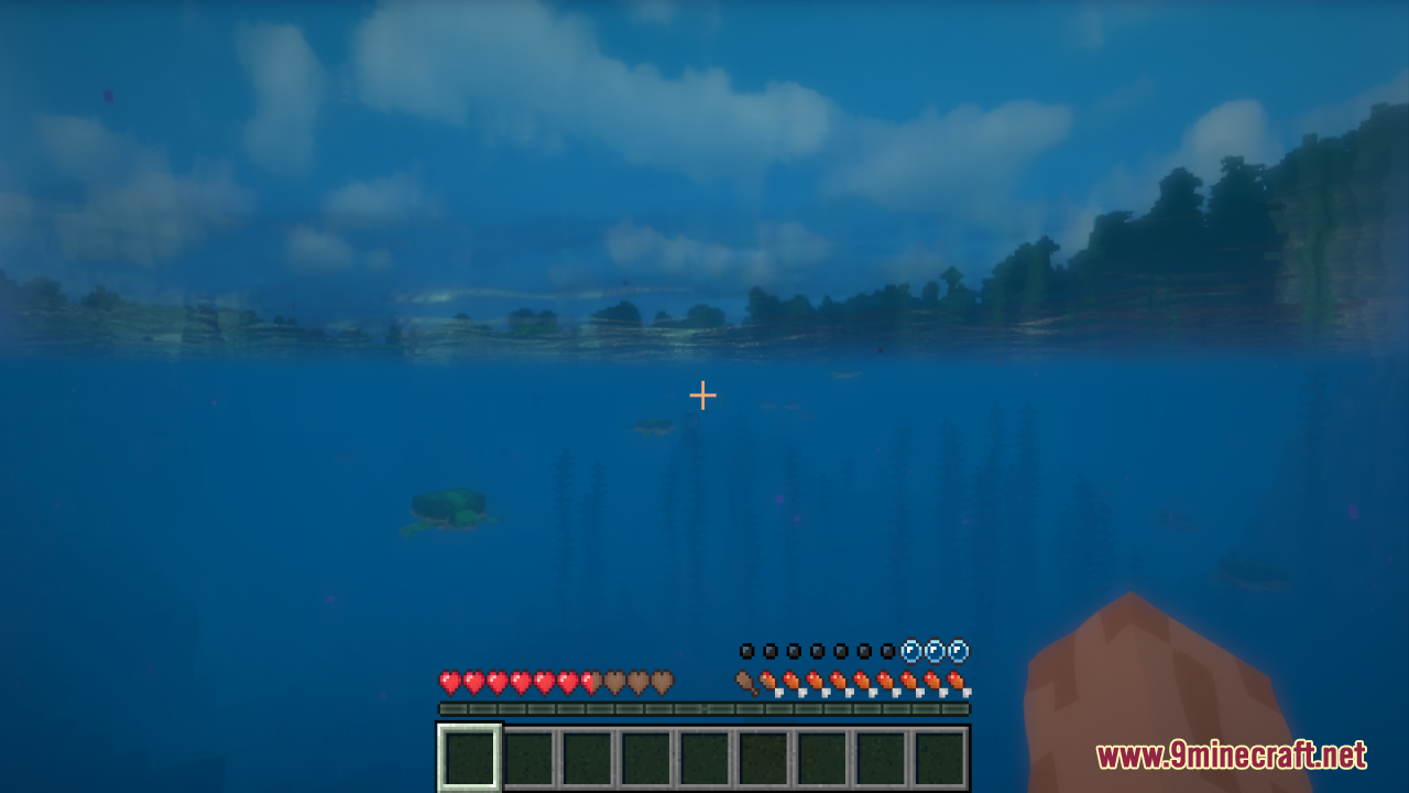 Underwater view of a sea turtle with custom health hearts