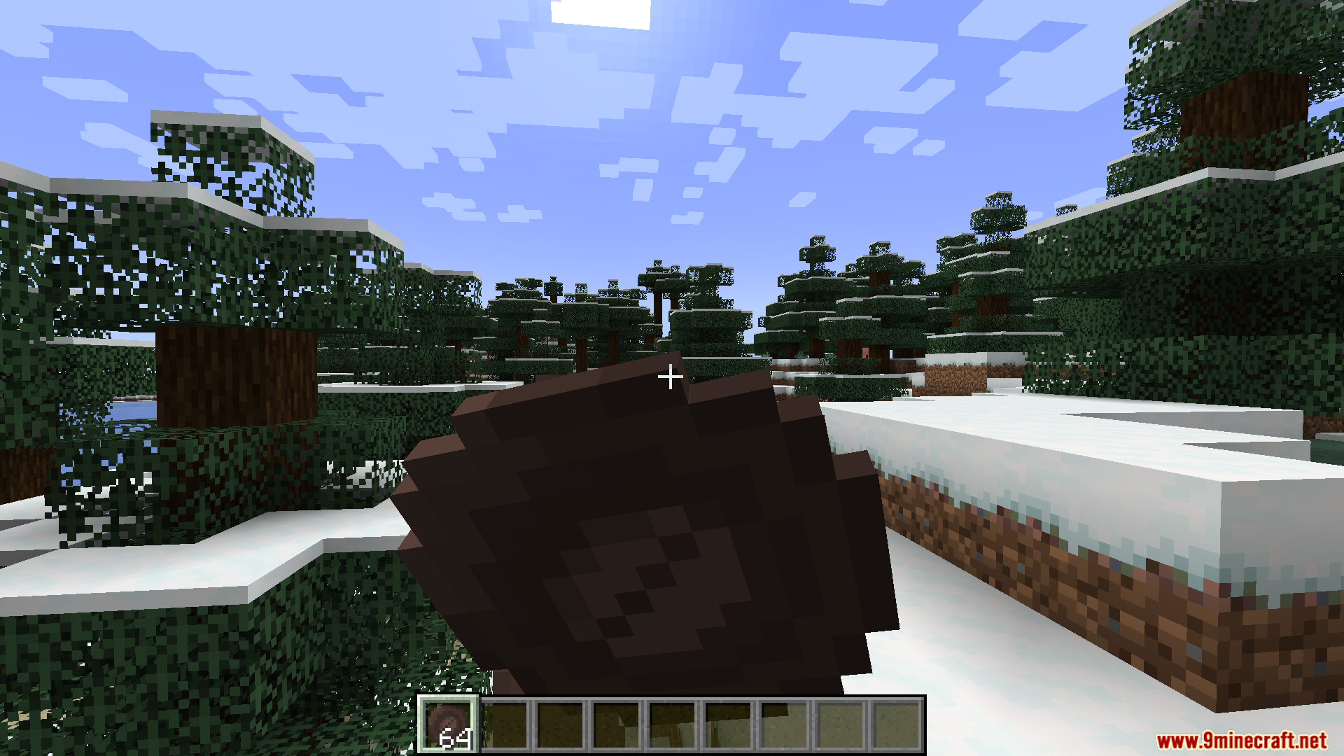 Player holding a giant chocolate coin in a snowy biome