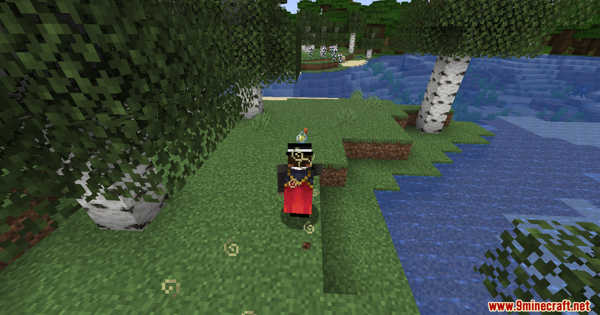 Potion Replacer Mod Screenshot 6