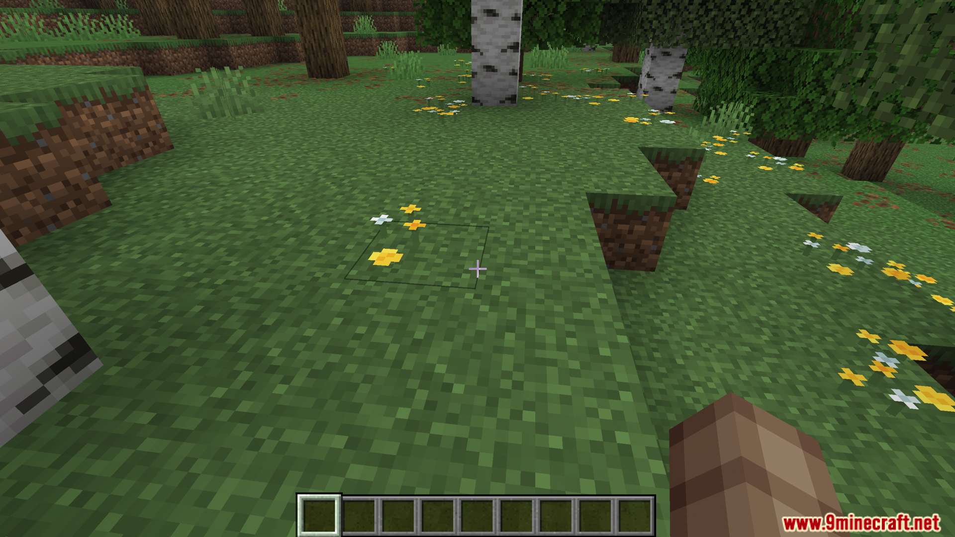 Player standing on grassy ground looking at small yellow flowers