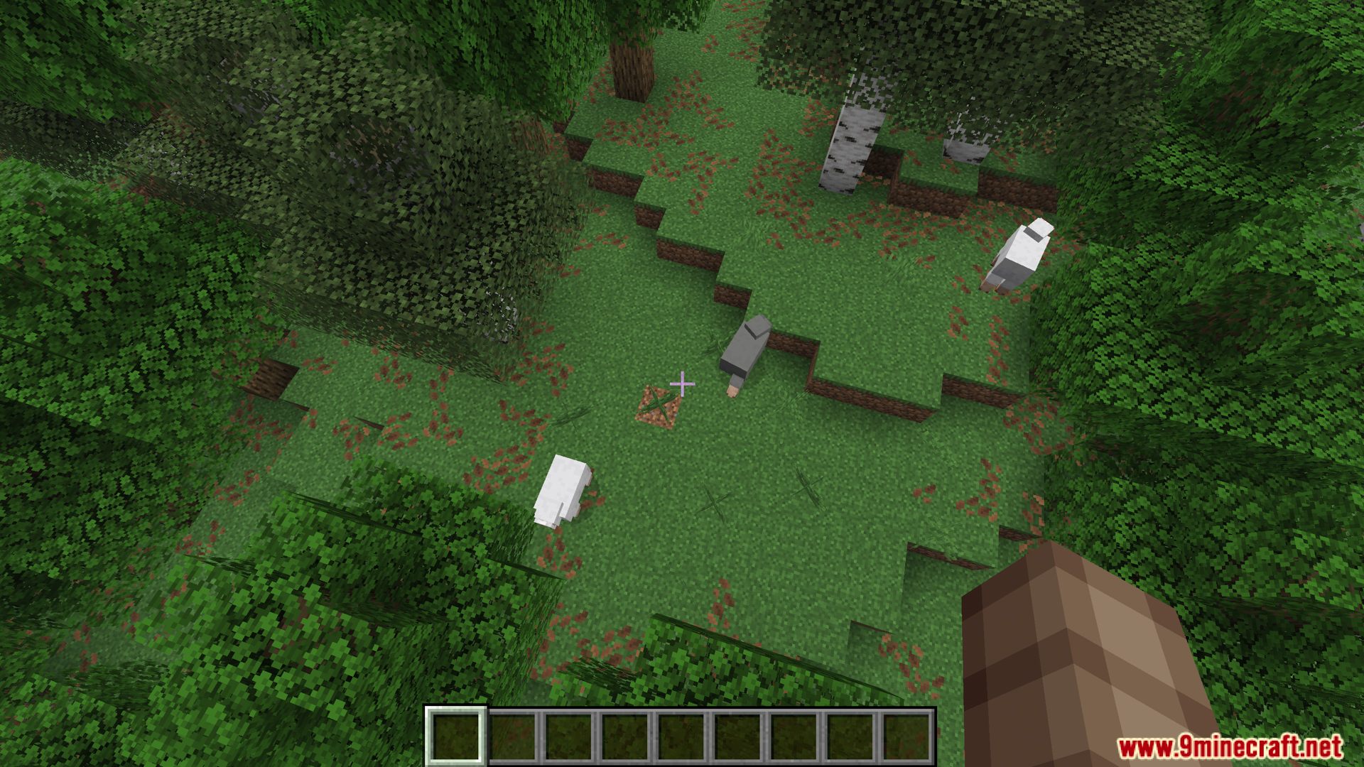 Player looking down at sheep grazing in a grassy forest area