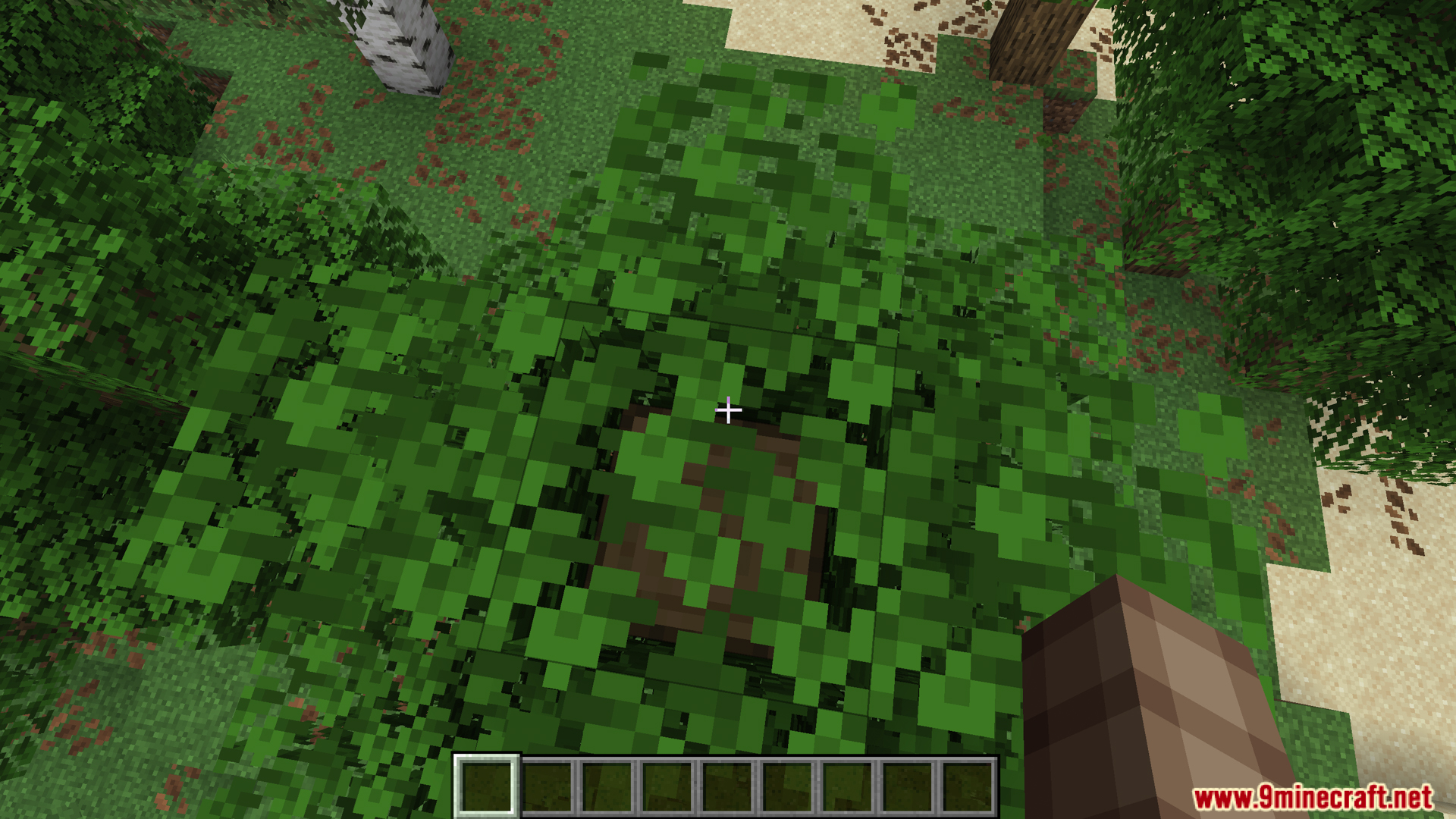 Player standing on tree leaves testing Presence Footsteps Neoforge Mod sounds