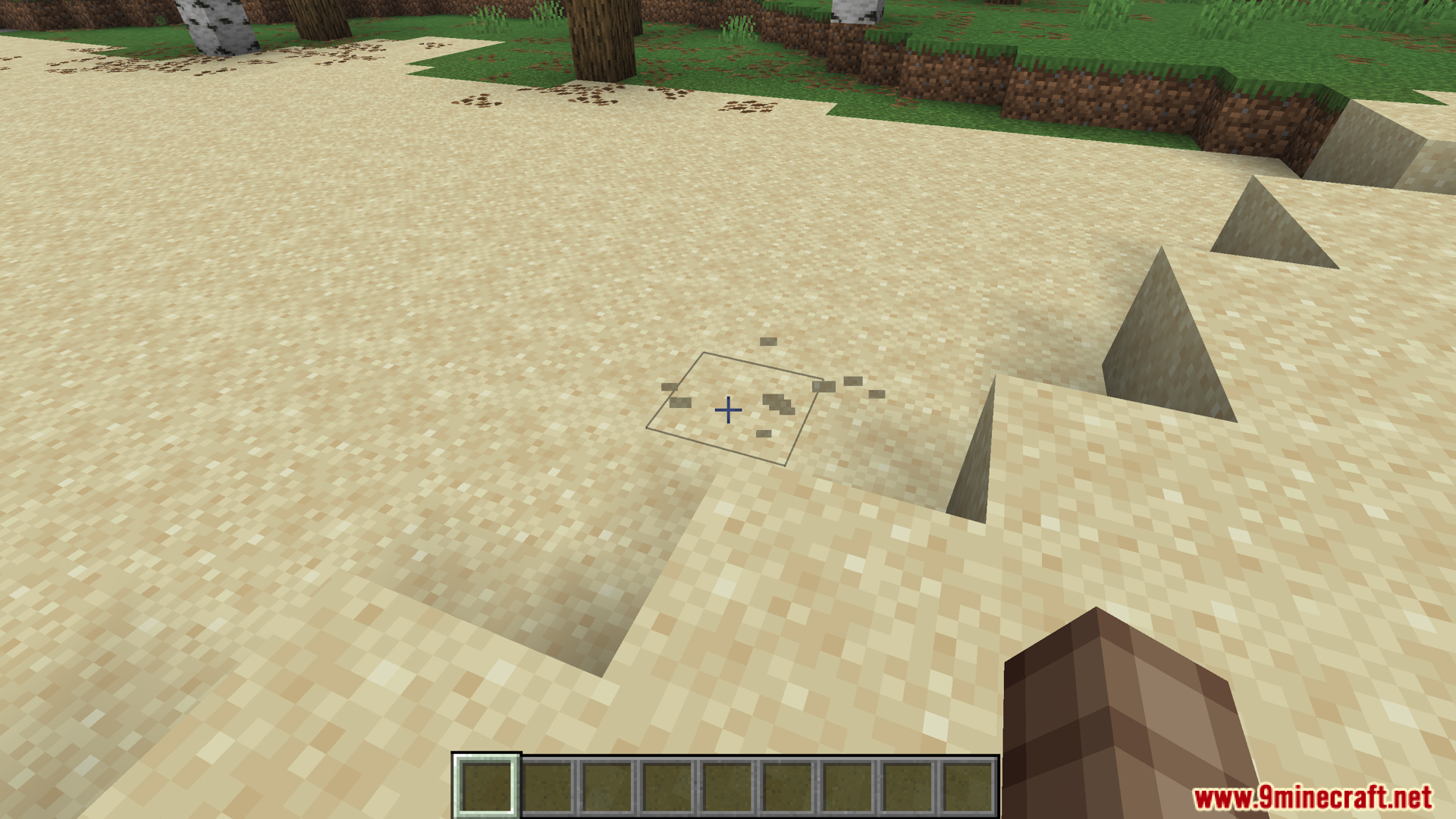 More footprints visible on the sandy beach