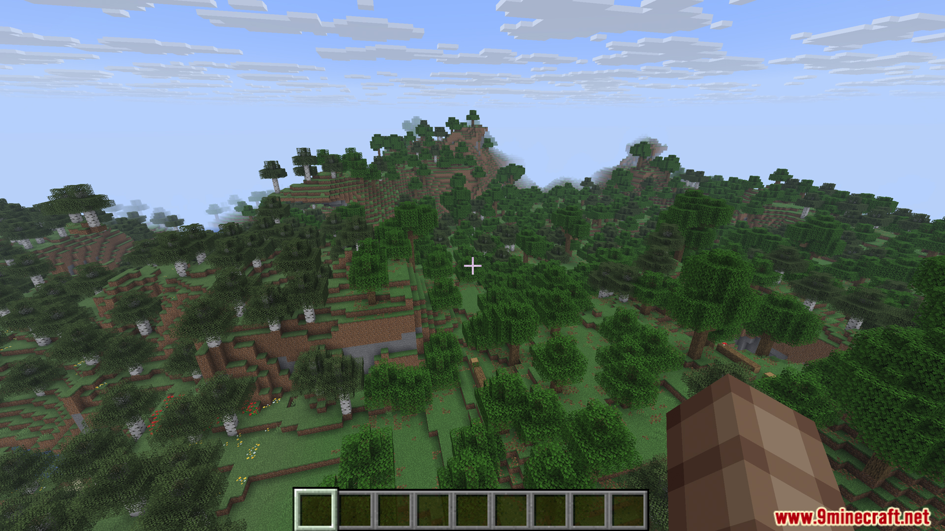 View of a forest biome in Minecraft