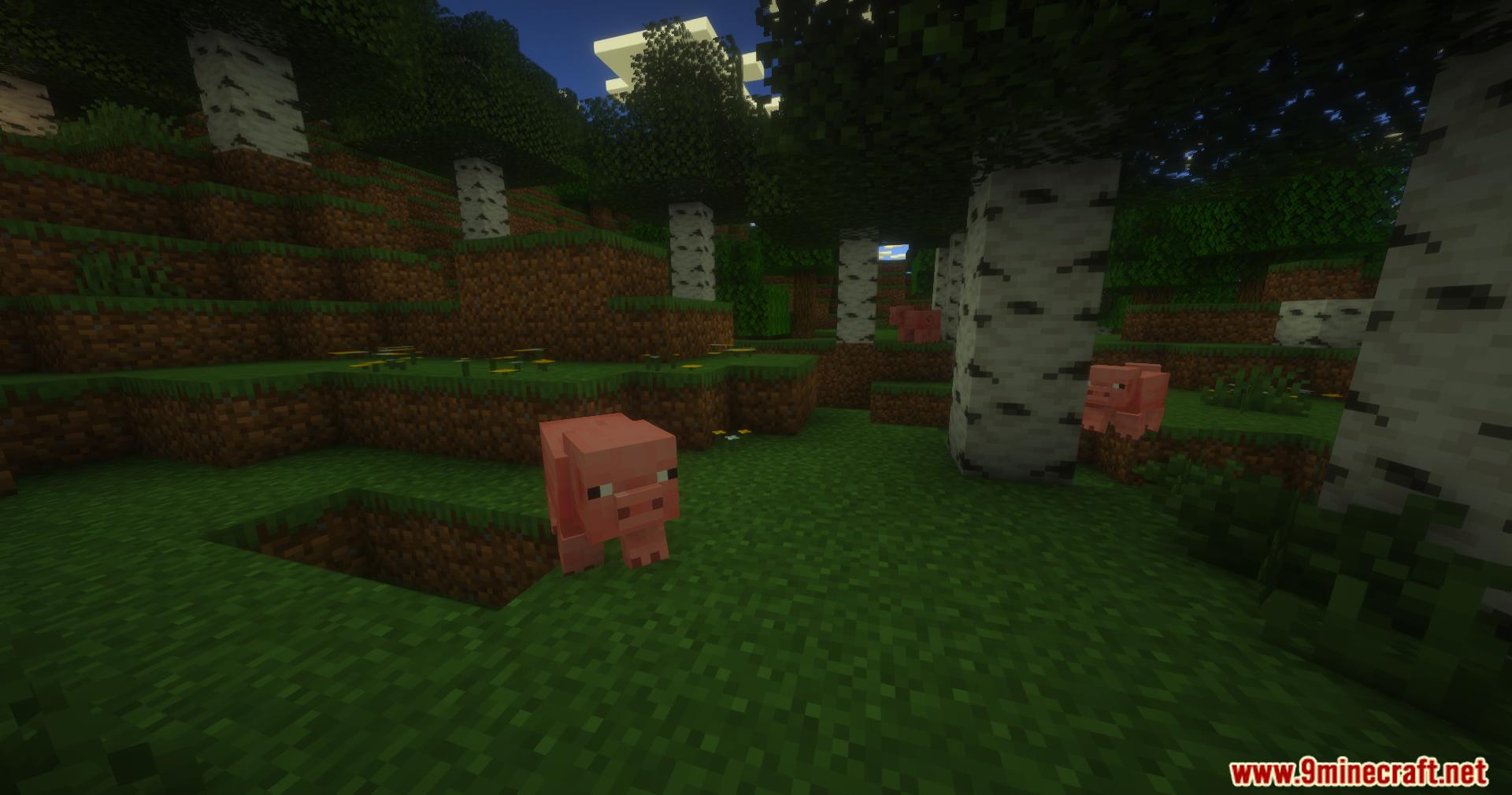 Pig in a birch forest showing camera focus from PureCraft Shaders