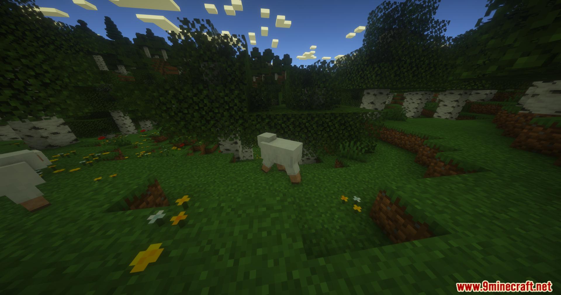 White sheep standing on grass in a sunlit birch forest biome