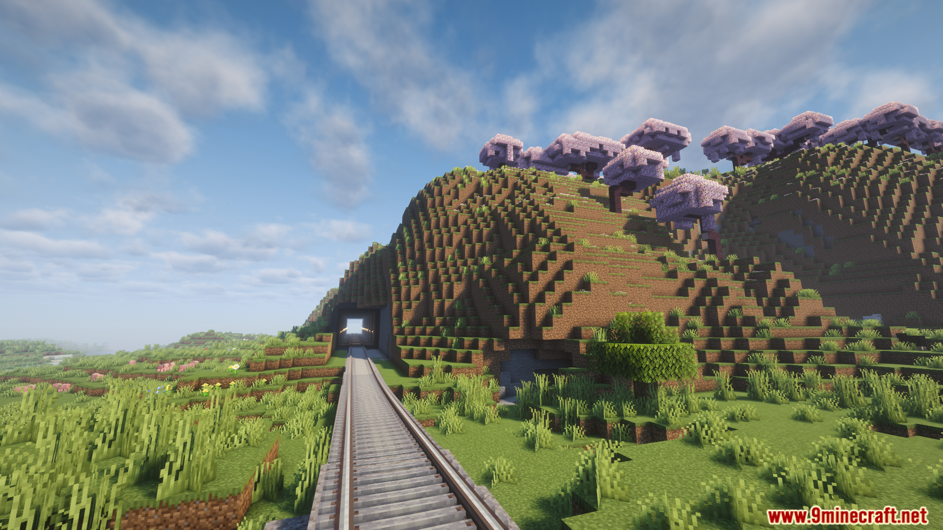Train tracks leading straight into a tunnel beneath cherry blossom trees