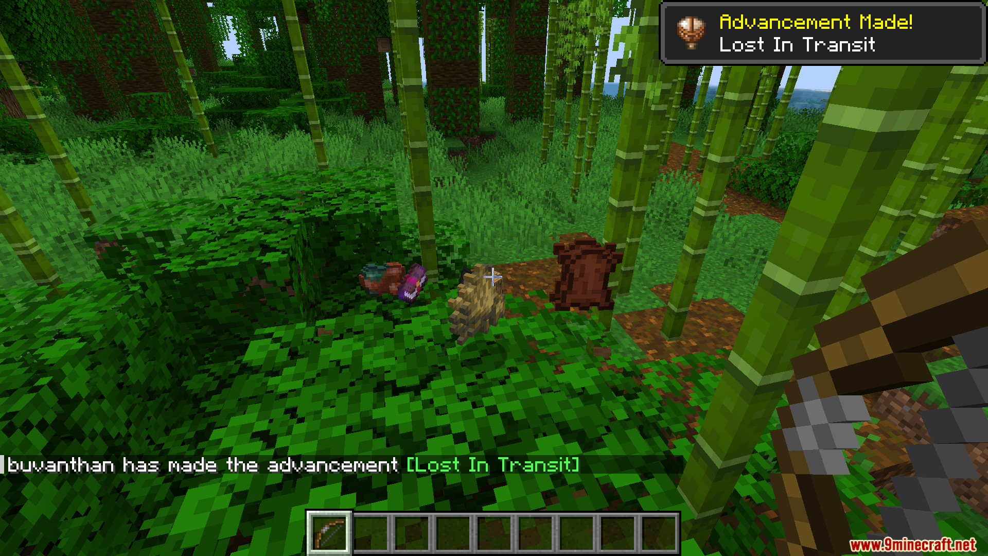 Fallen treasure chest sitting on the ground in a bamboo forest