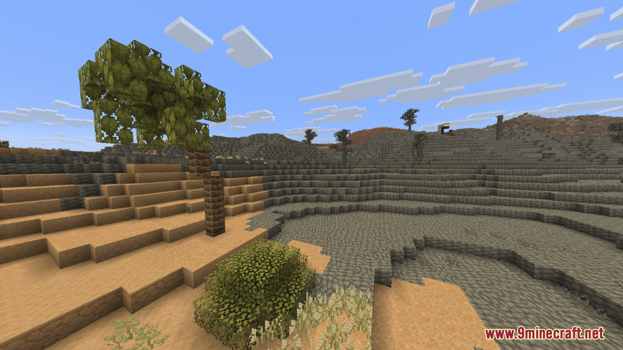 Palm tree growing near dried salt blocks in desert landscape