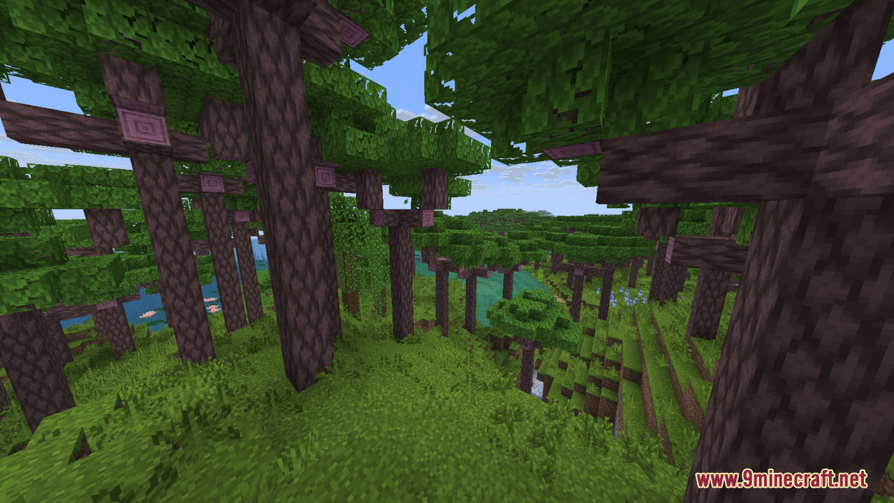 A lush green forest with tall trees and purple wood