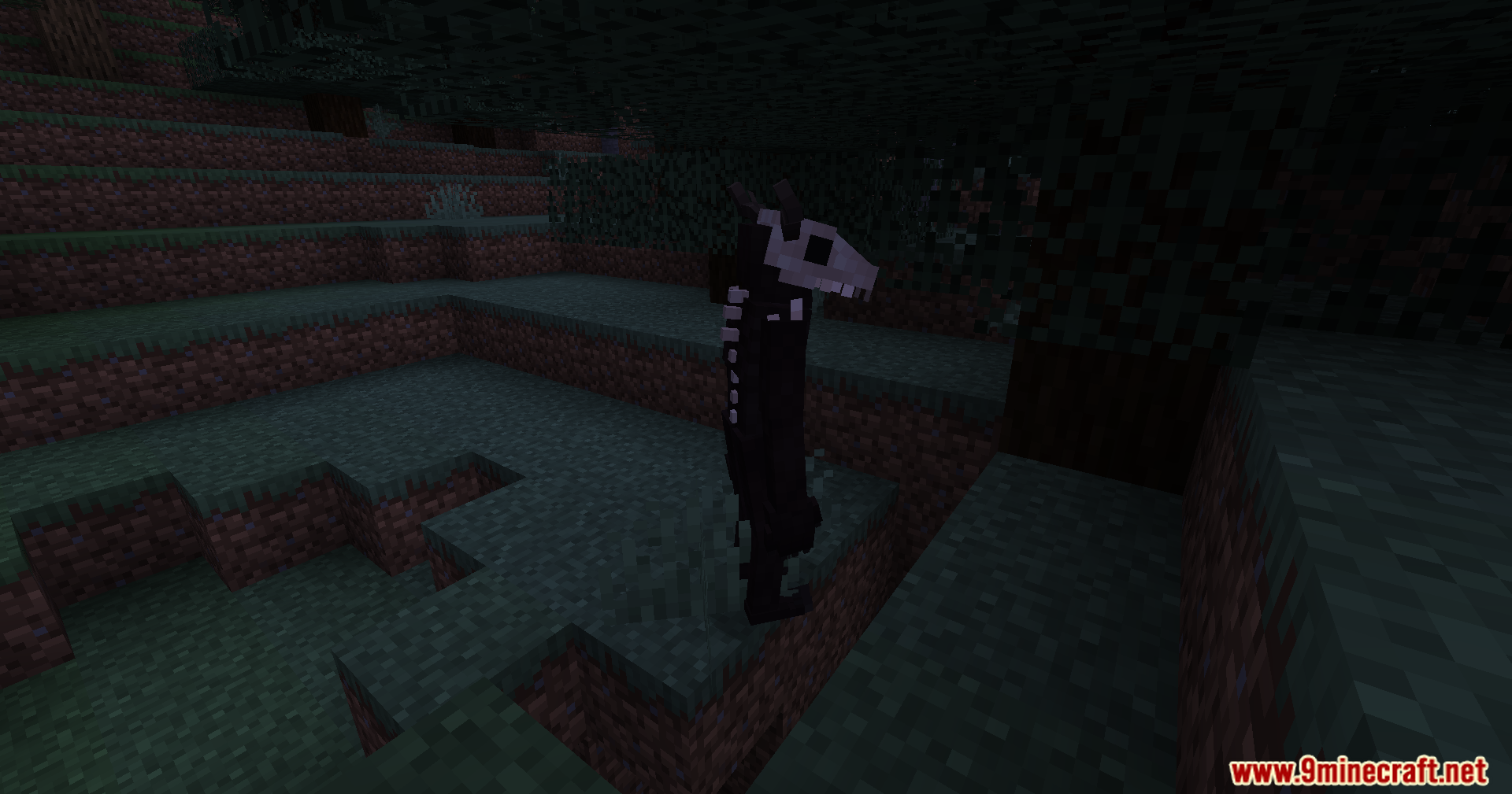 The monster stalks through the forest at night