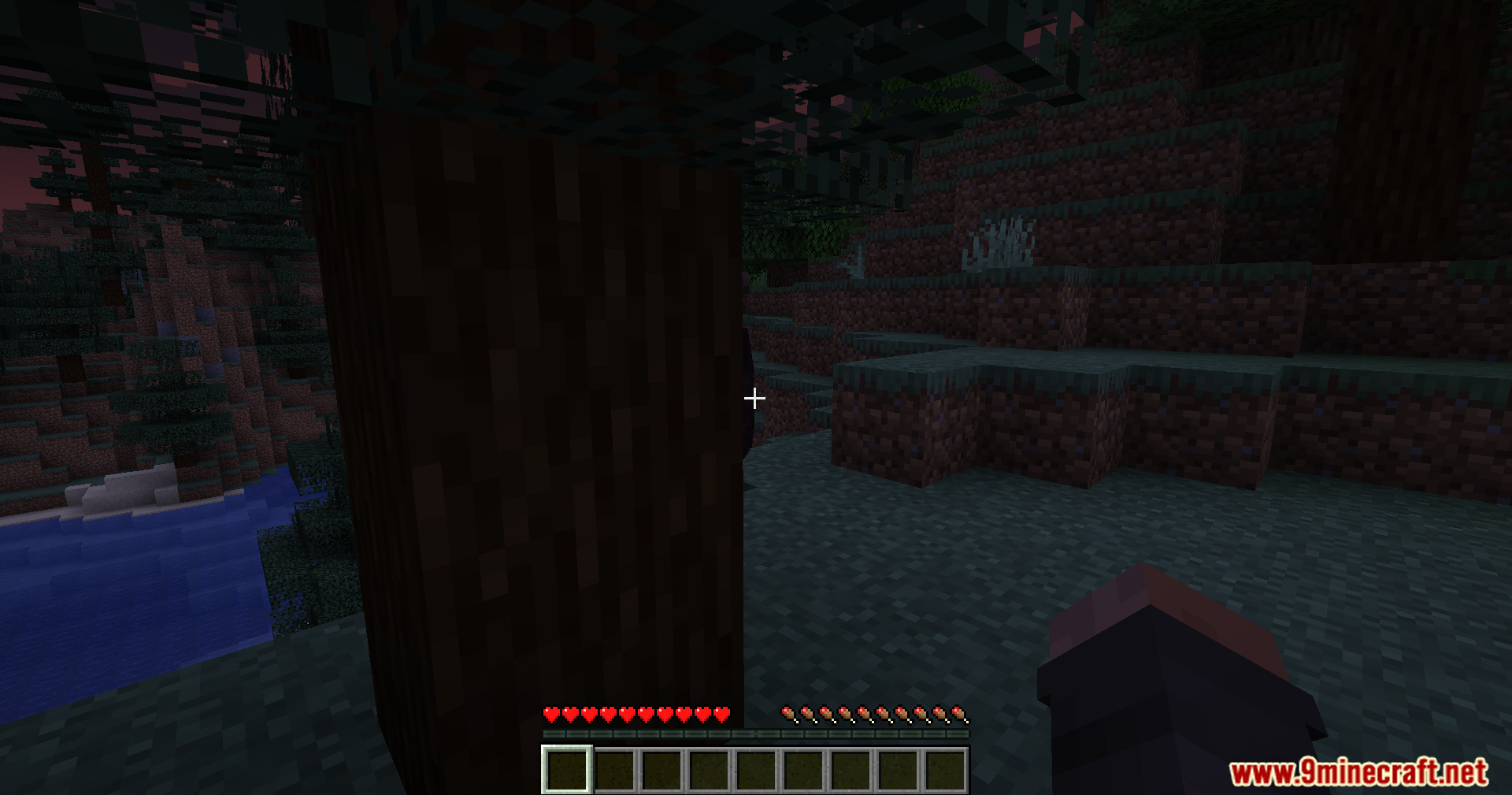 Player's first person view hiding behind a tree at night