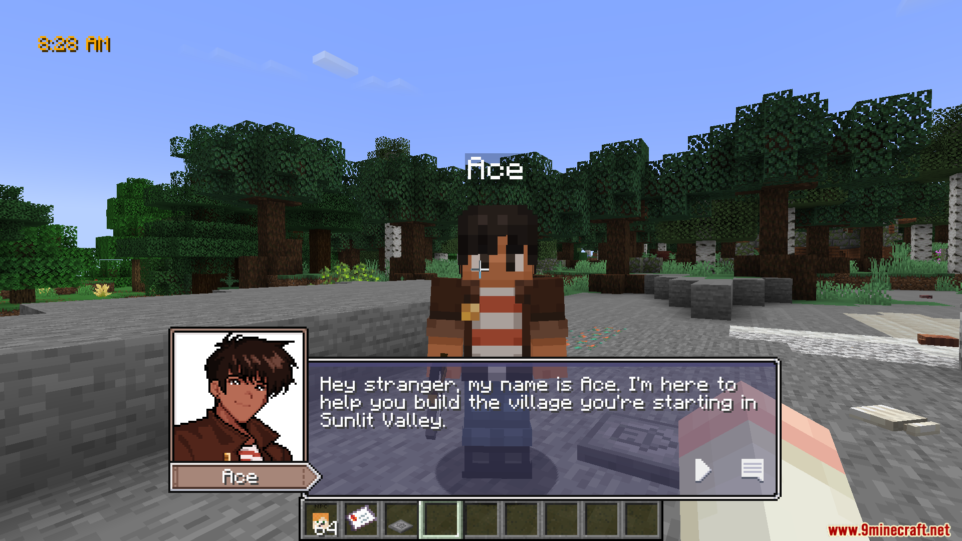 Player talking to Ace in Sunlit Valley village