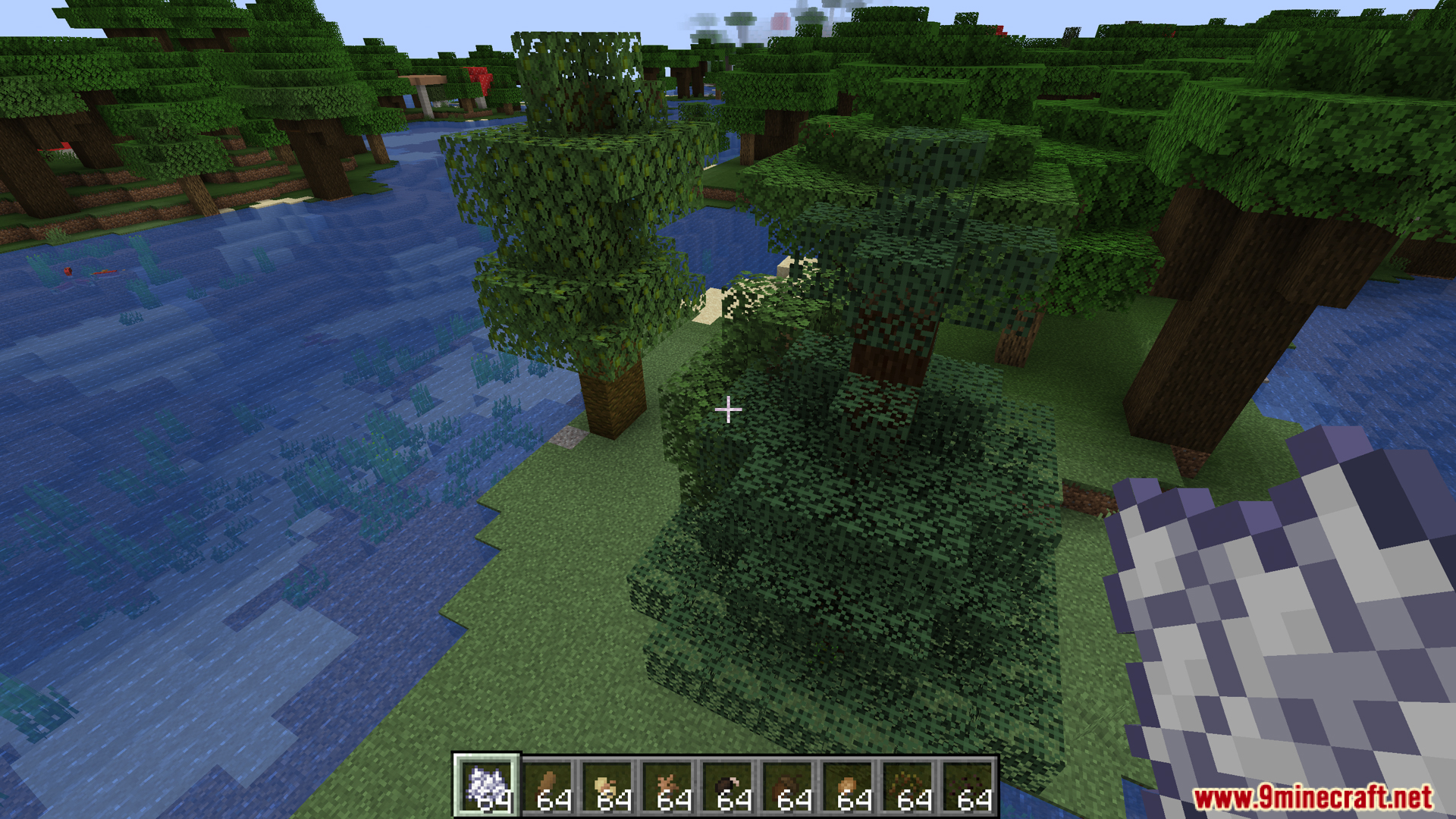 Player viewing a fully grown spruce tree from the custom seeds