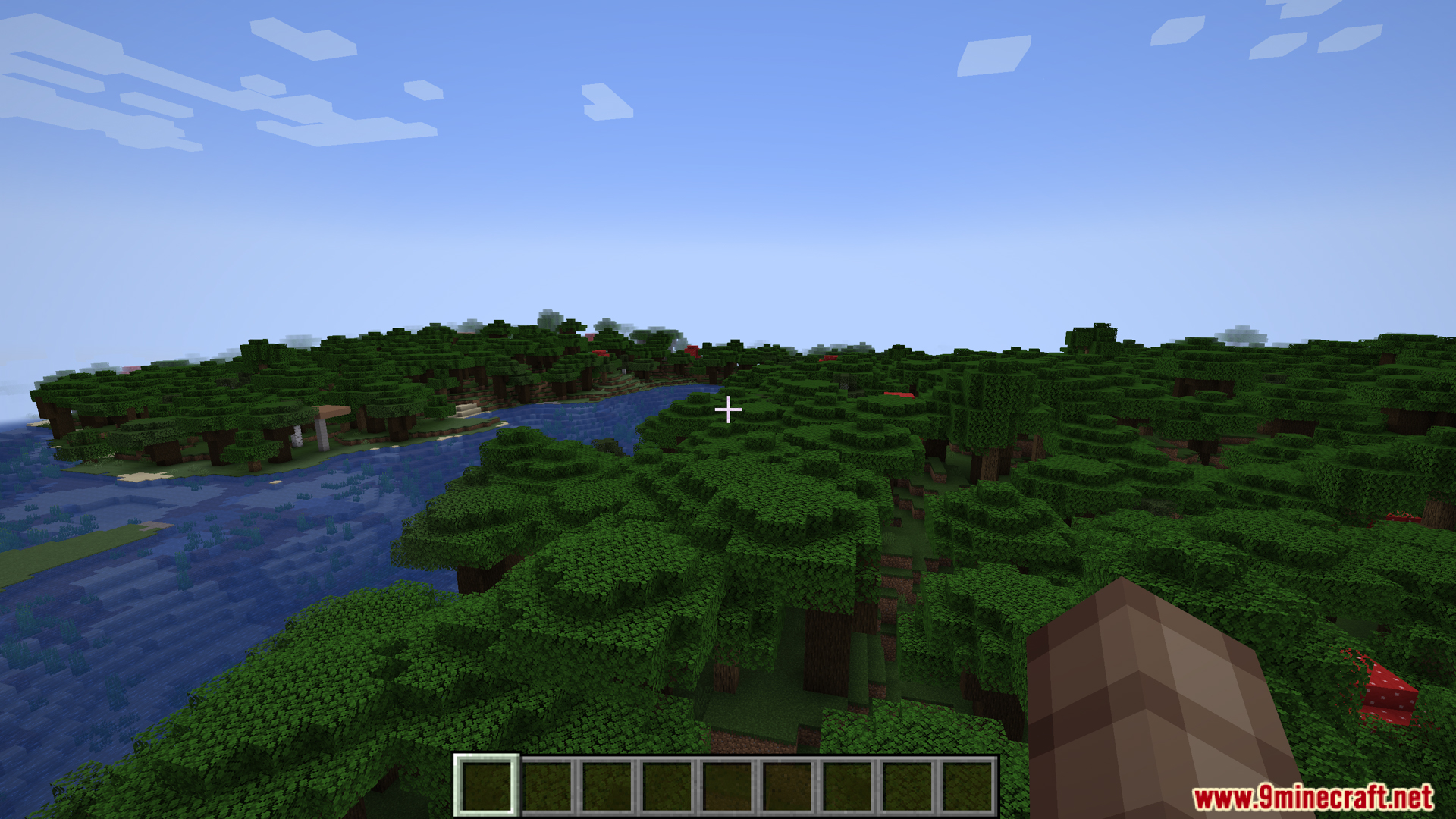 First person view of a lush forest biome near water