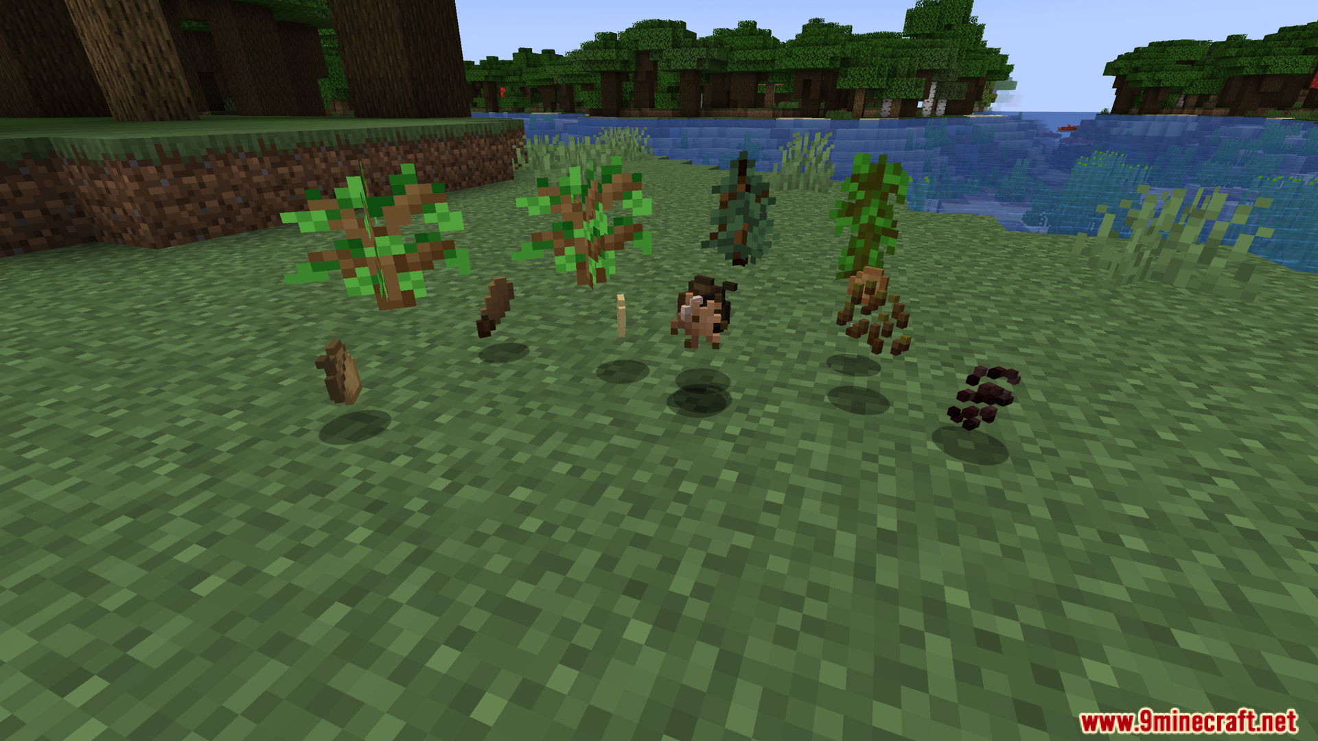 Various tree saplings and plants with their corresponding custom seeds