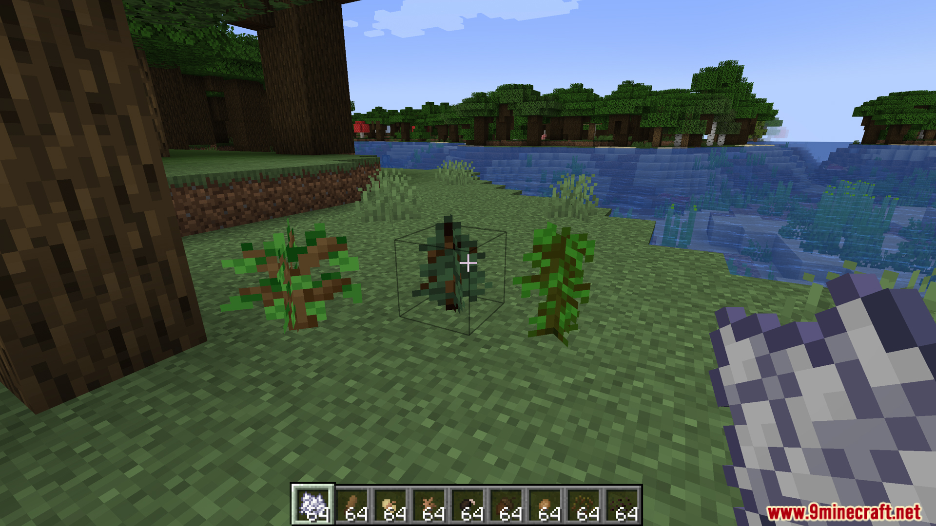Applying bone meal to a small custom sapling next to a tree