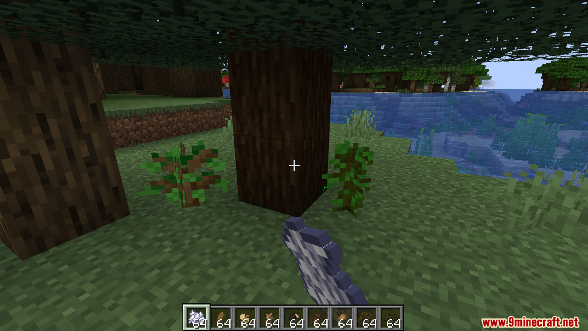 Viewing a grown wood log block next to small custom saplings