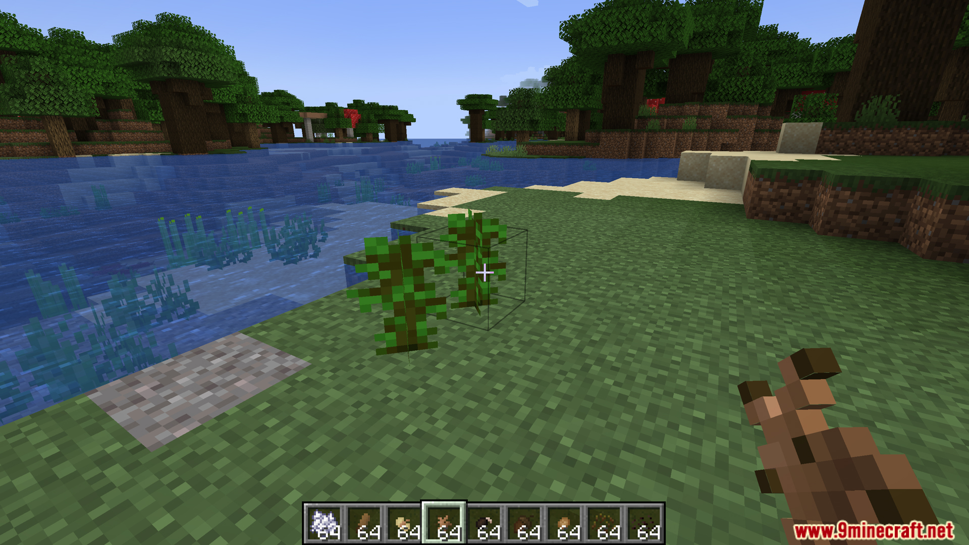 Player planting new oak tree seeds added by the Scarcity Mod
