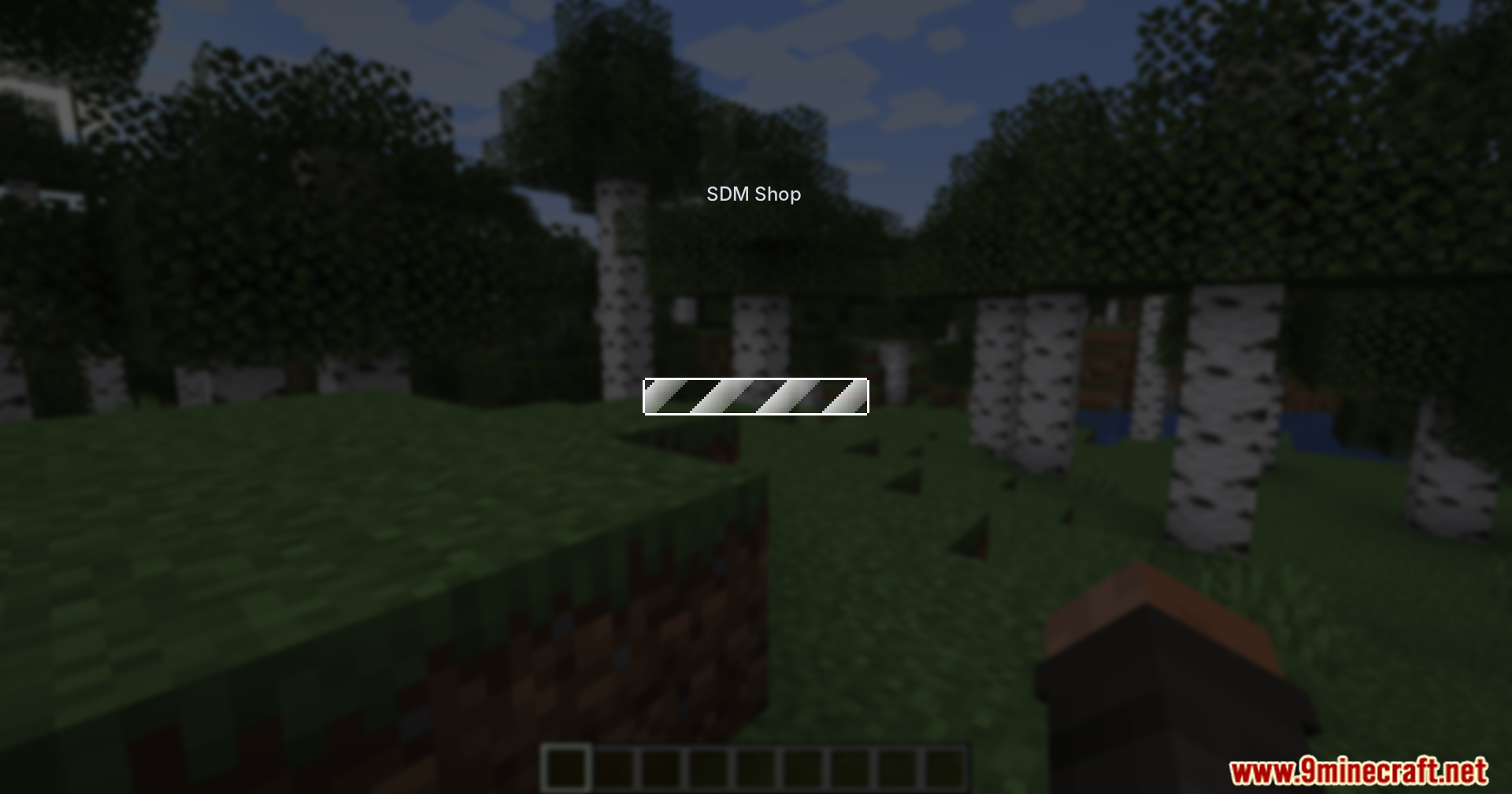 Sdm Shop Mod Screenshot 2