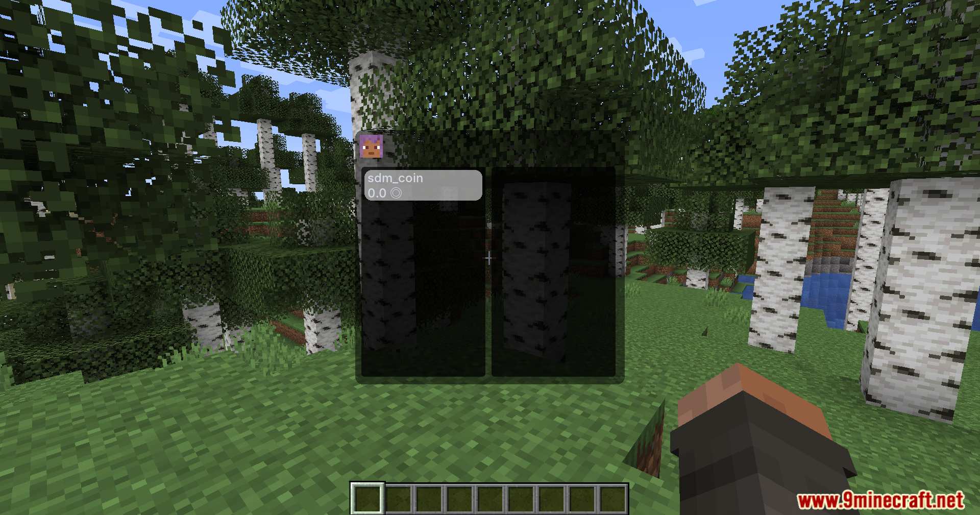 Sdm Shop Mod Screenshot 8