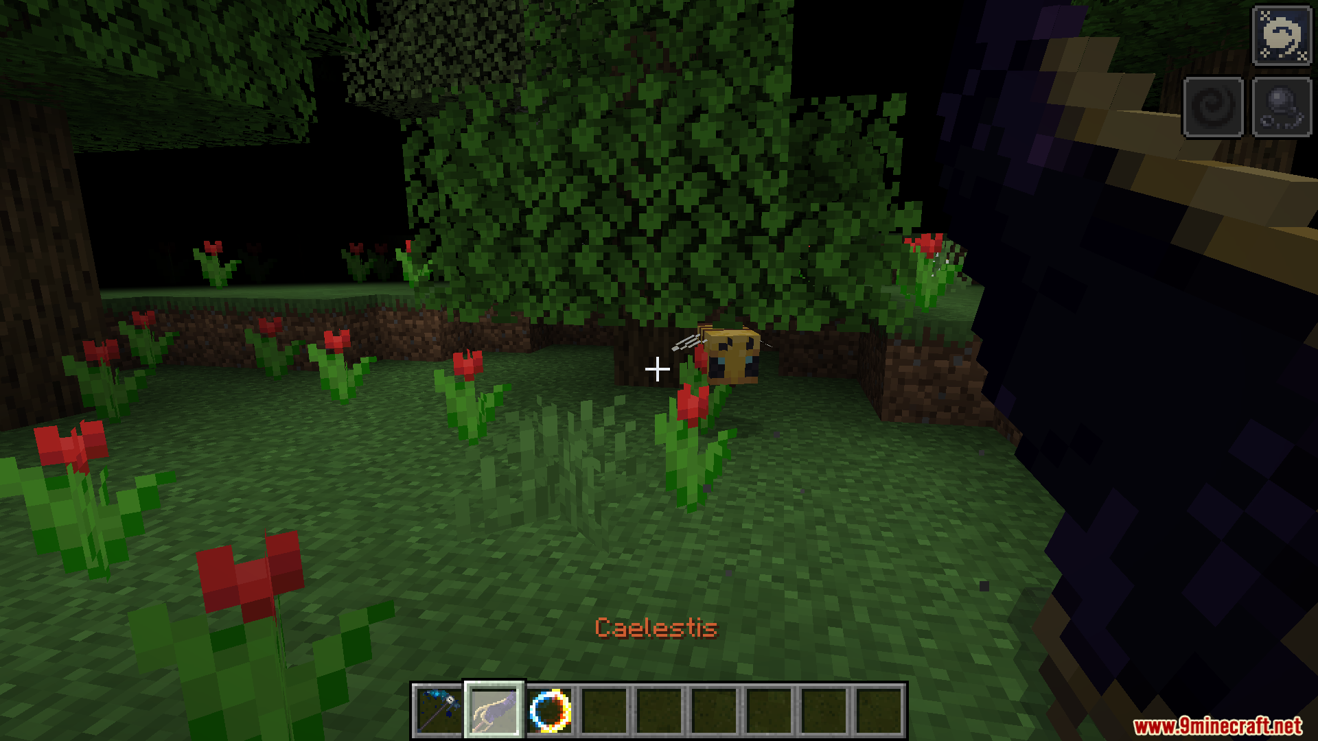 Player aiming a dark bow at a bee