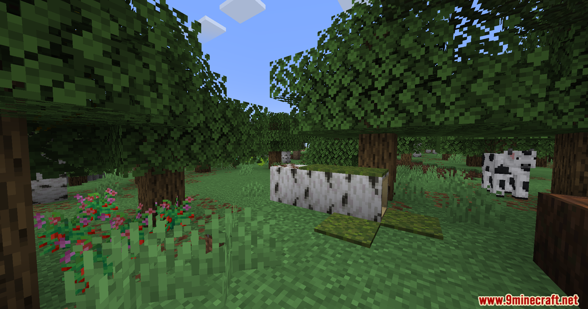 Fallen birch tree log resting on the grass near a cow