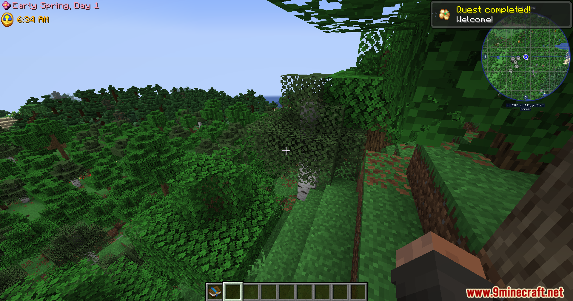 Looking down at a dense forest from a hill