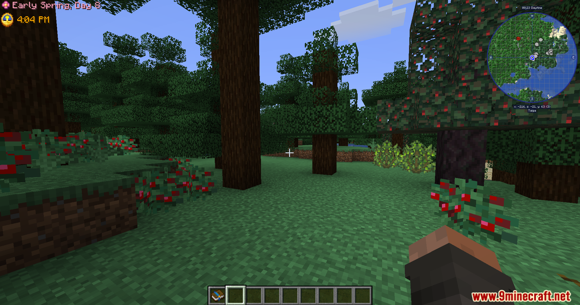 Walking through a forest with berry bushes scattered around