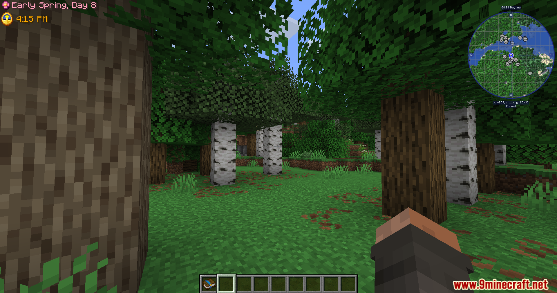 Player exploring a forest biome with birch trees