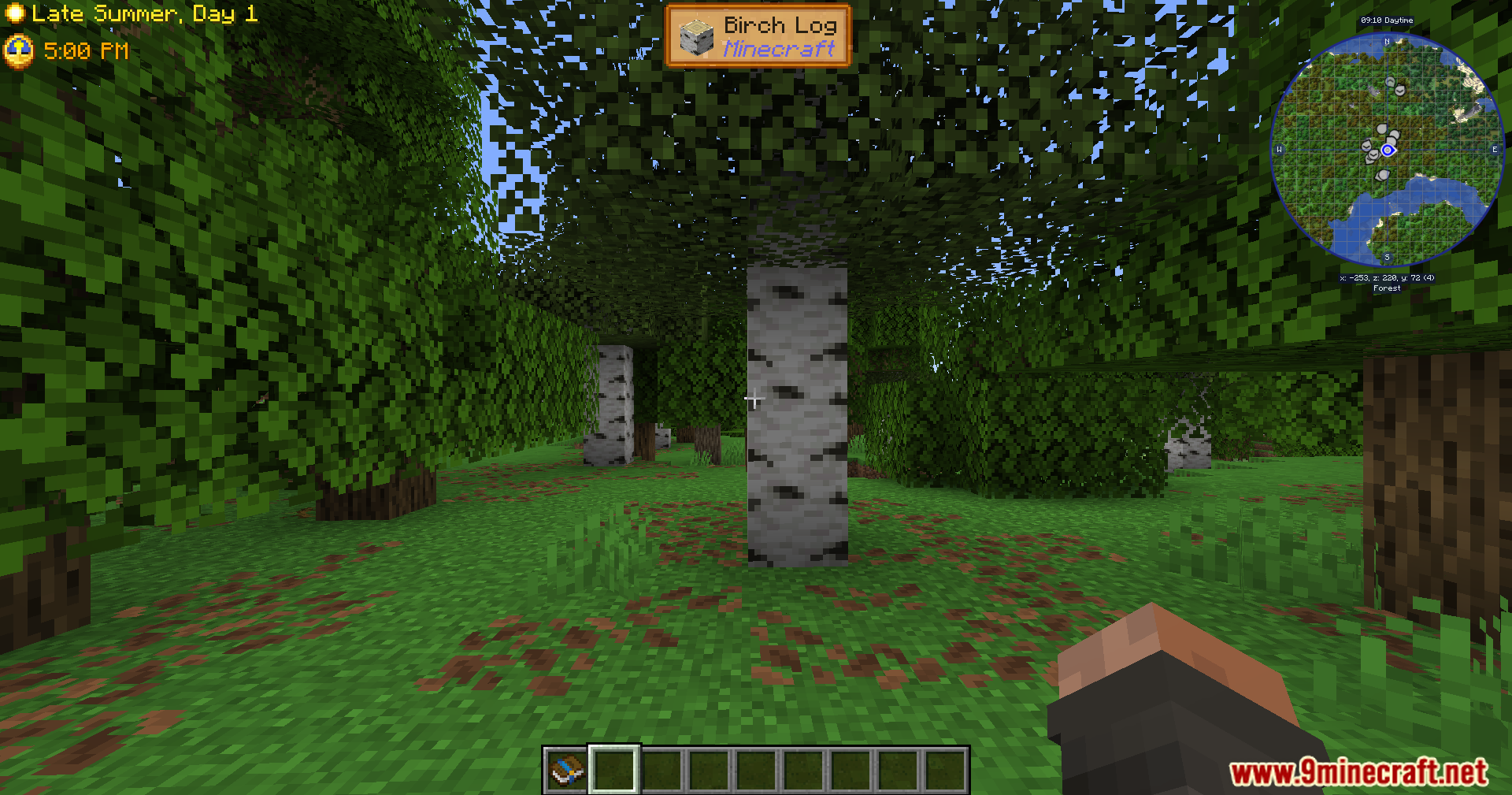 Player looking at a birch log block in the forest