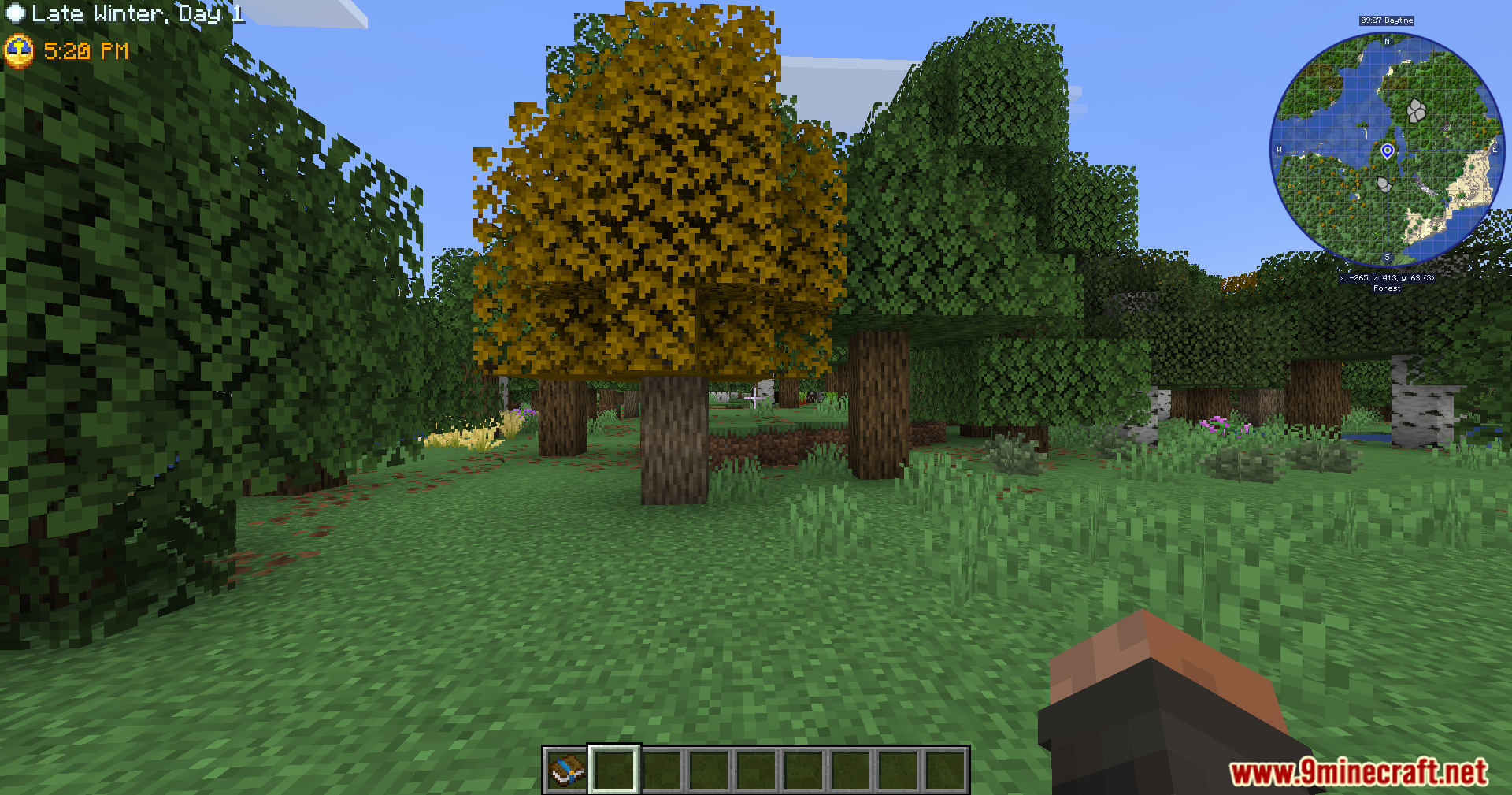 Player viewing a forest landscape with custom trees and minimap UI