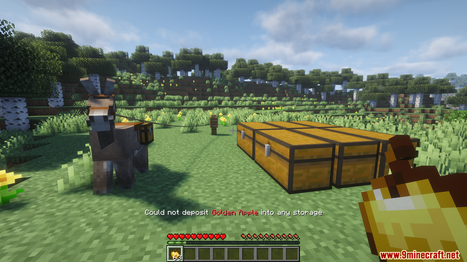 Player unable to deposit golden apples into nearby storage chests