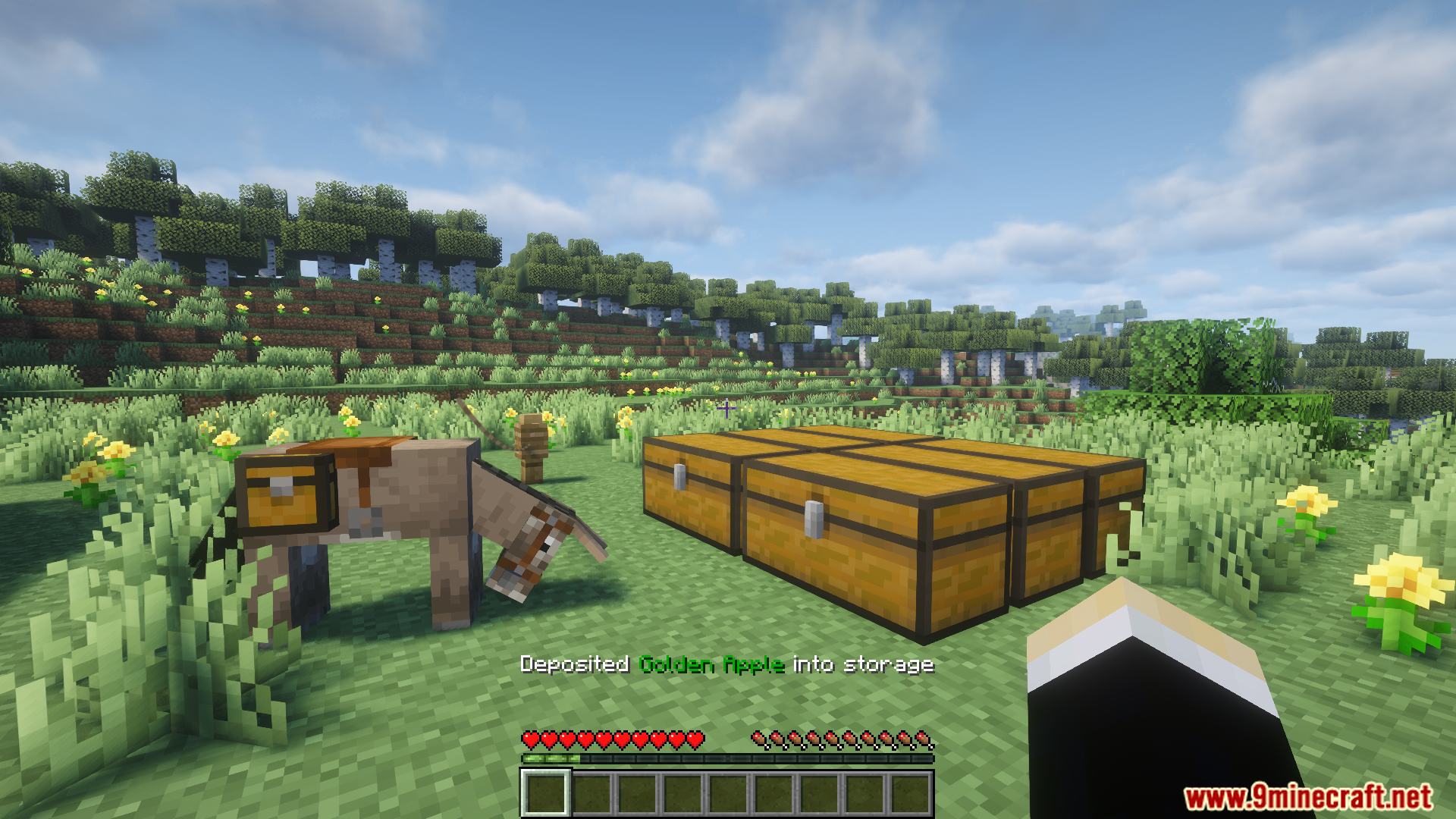 Player depositing golden apples into nearby storage chests and donkey
