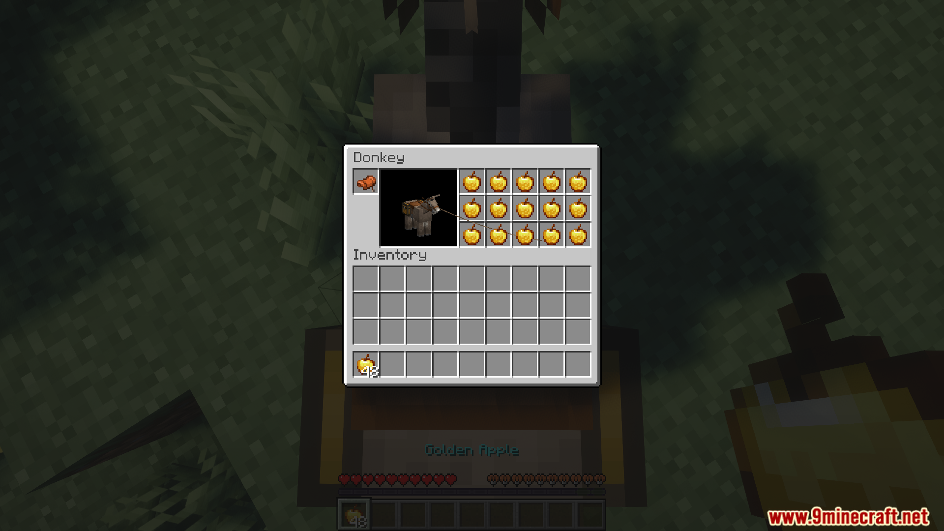 Donkey inventory screen displaying multiple stacks of stored golden apples