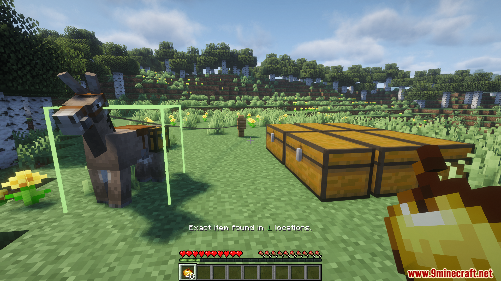 Sophisticated Item Actions highlighting a donkey containing the exact item