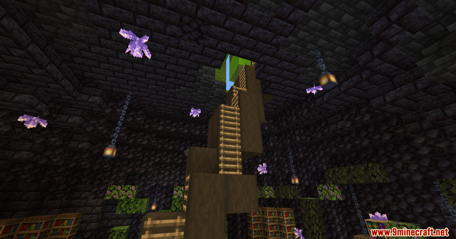 A ladder leads up through the dark, amethyst-lit tower