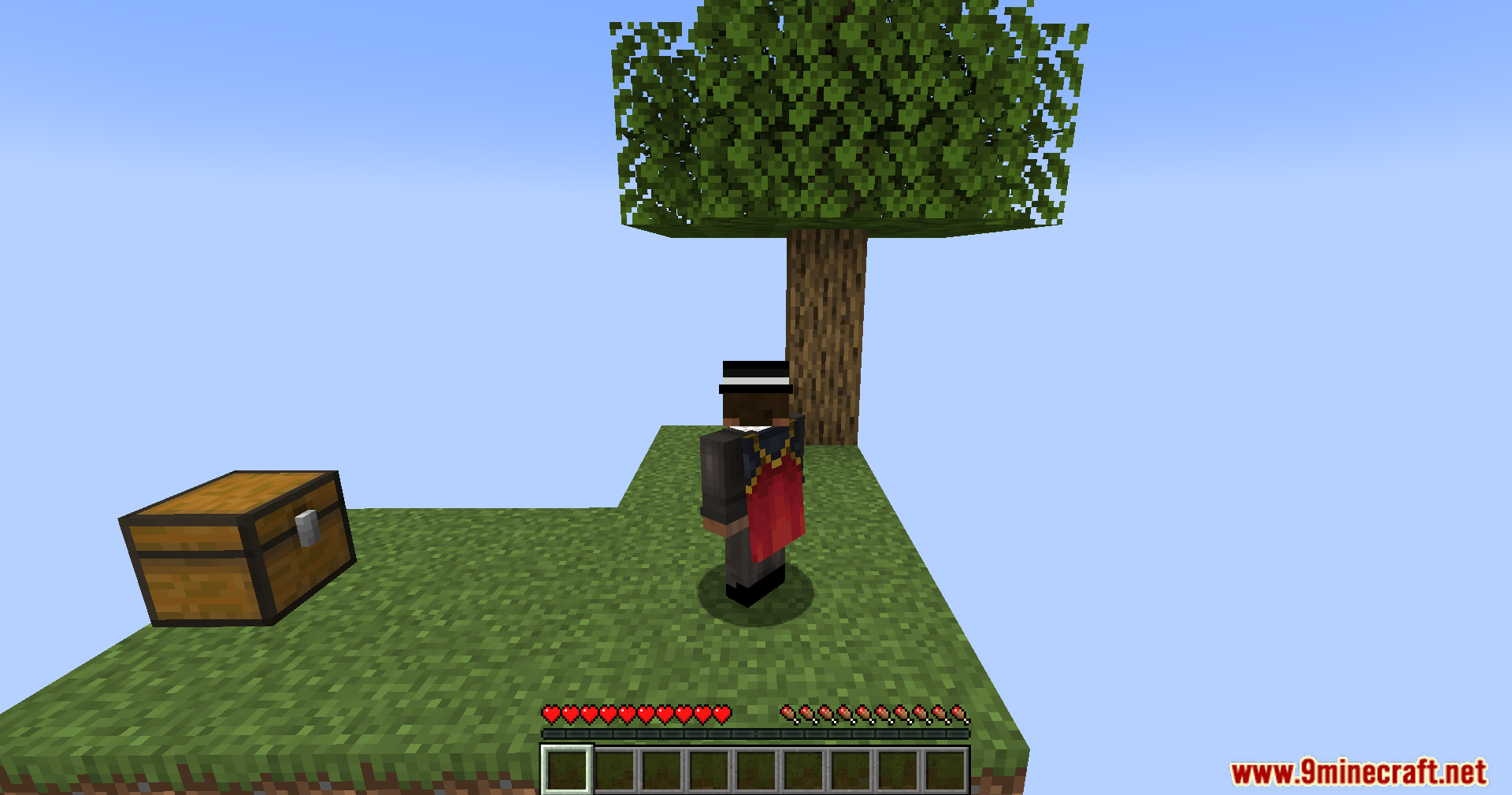 Player standing on the classic dirt starter island in the void