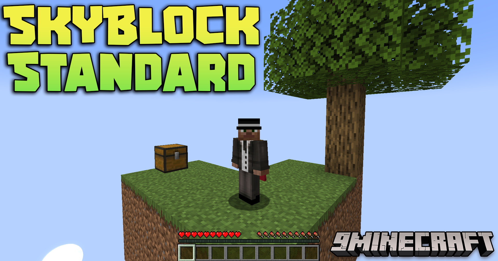 Standard Skyblock Mod
