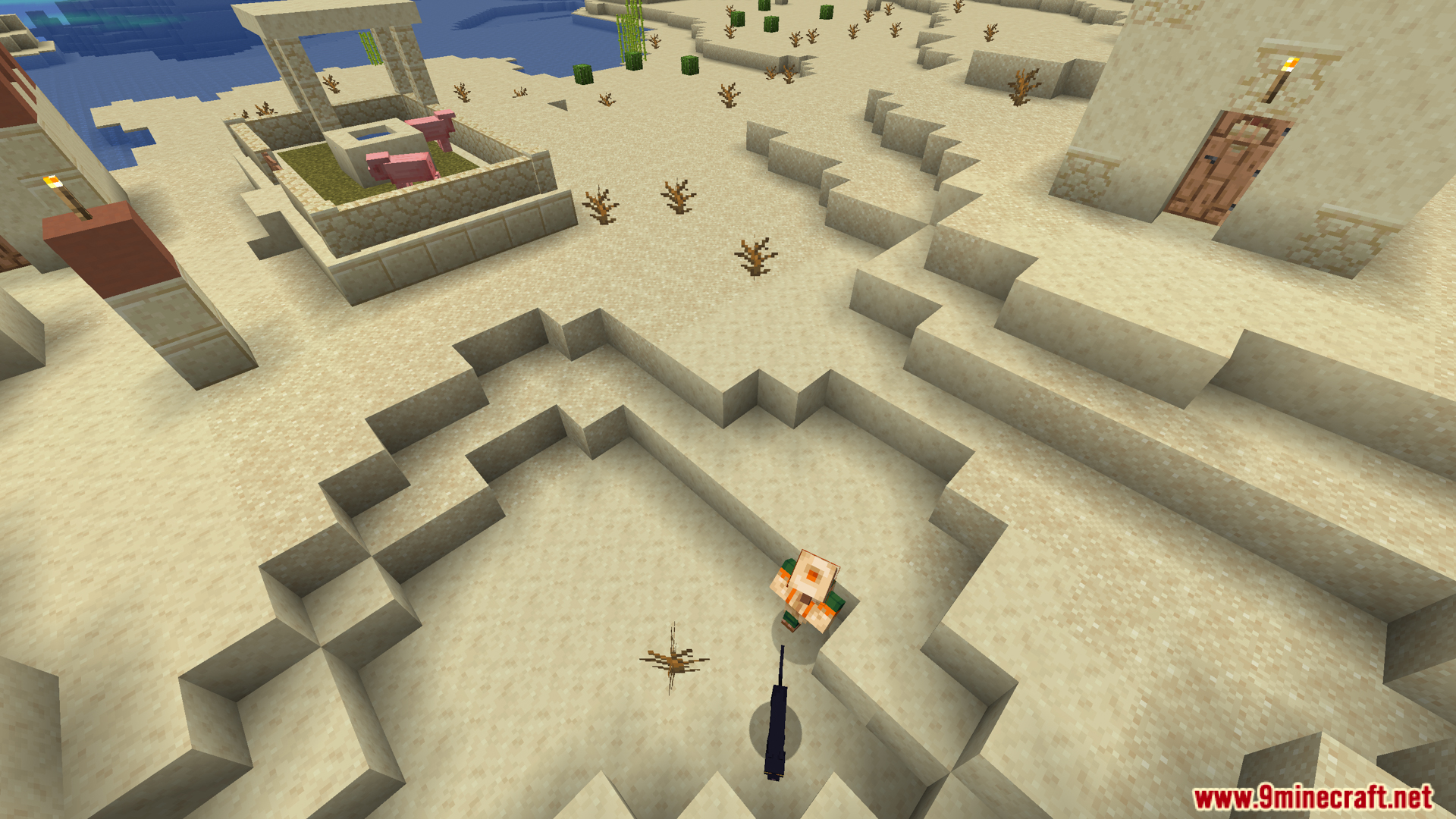 Overhead view of a villager in a desert village
