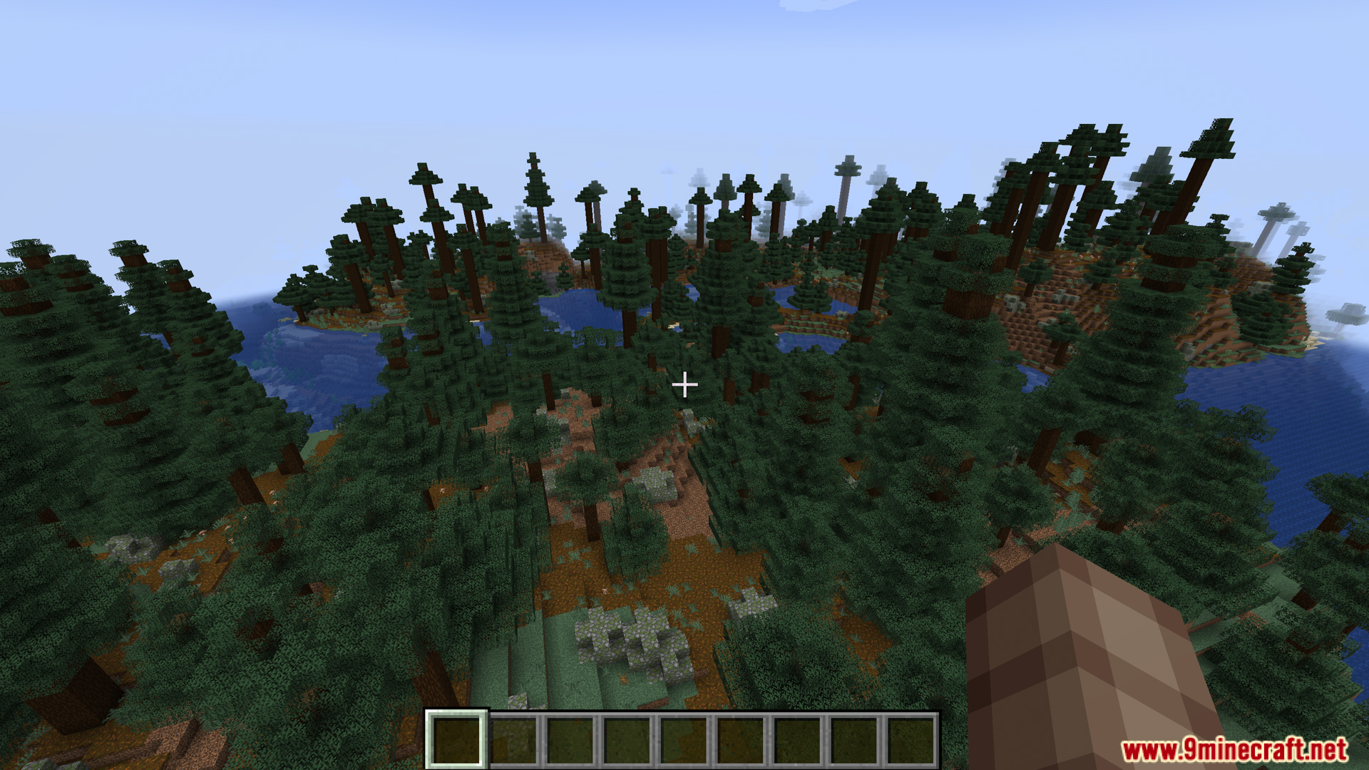 A vast taiga biome with tall spruce trees