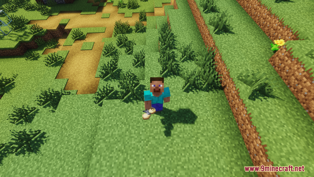 Player holding a sealed scroll item in the Minecraft overworld