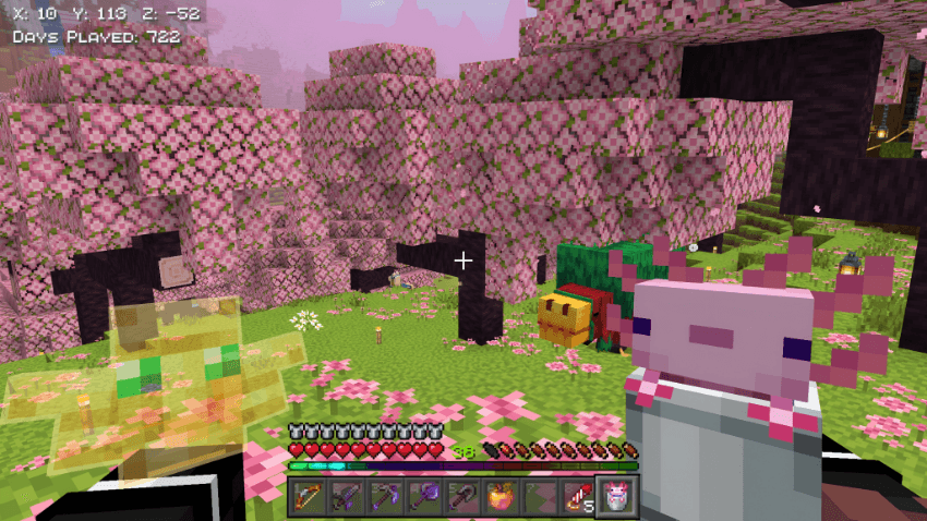 Survival Overhaul Texture Pack MCPE/Bedrock Texture Pack Screenshot 10