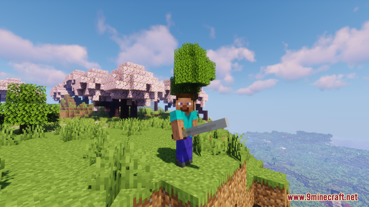 Steve holding a 3D modeled iron sword in a cherry biome